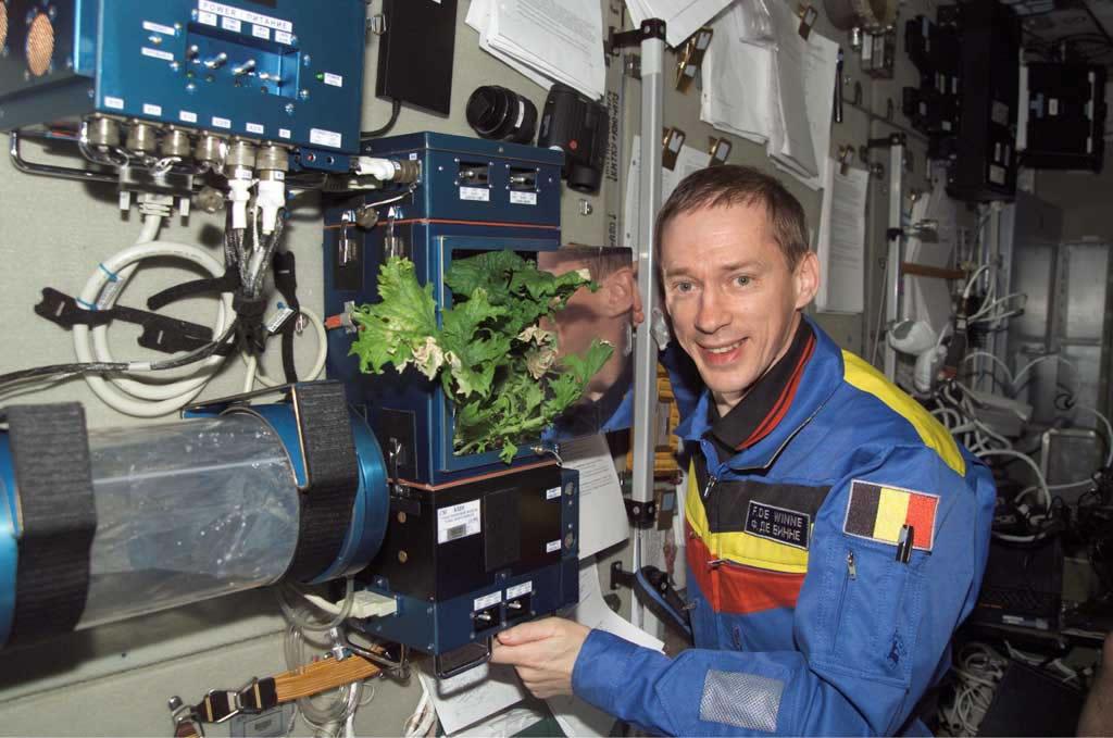 NASA - Studying the Features of the Growth and Development of Plants