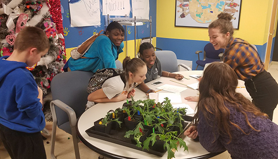 Smiling students surround a table as they record data next to a tray of plants