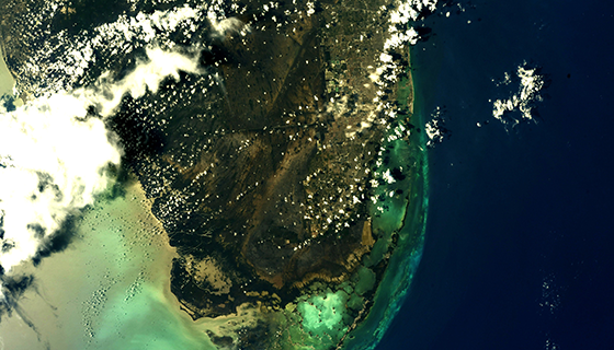 The lush, green southern tip of Florida as seen from space