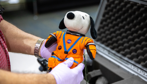 A person wearing rubber gloves holds a small stuffed animal of Snoopy wearing an orange NASA spacesuit