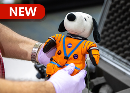 A person wearing rubber gloves holds a small stuffed animal of Snoopy wearing an orange NASA spacesuit