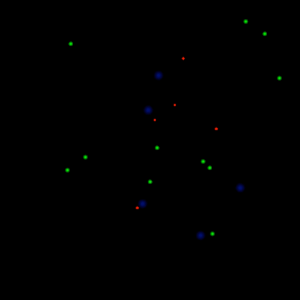 Fermi LAT view of GRB 080916c
