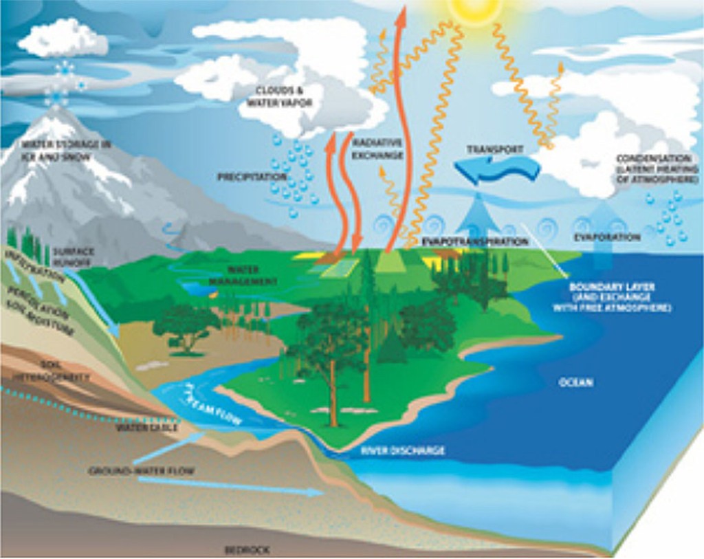 Does cloud type affect rainfall chart