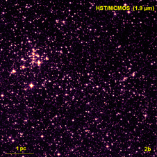 Hubble Space Telescope/NICMOS image of the QC region