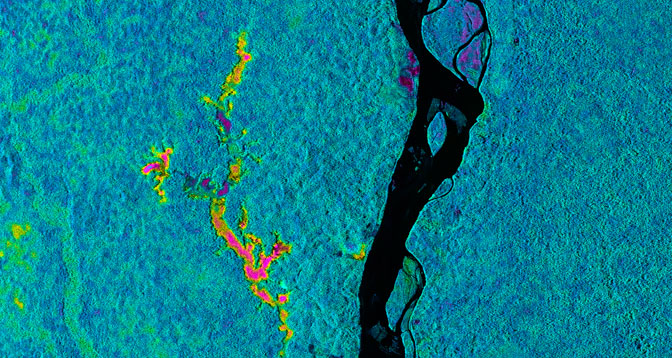 This false-color image created from data obtained by NASA's Uninhabited Aerial Vehicle Synthetic Aperture Radar (UAVSAR) over the Napo River in Ecuador and Peru on March 17 indicates the likelihood of flooding beneath the forest canopy.