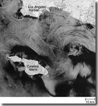 NASA – Dryden Flight Research Center – News Room: News Releases: NASA AND NAVAL RESEARCH LAB STUDY COASTAL EDDIES