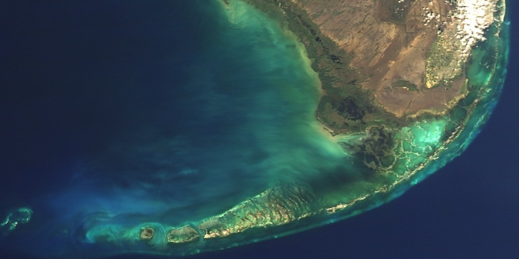 U.S. Initiates Prototype System to Gauge National Marine Biodiversity