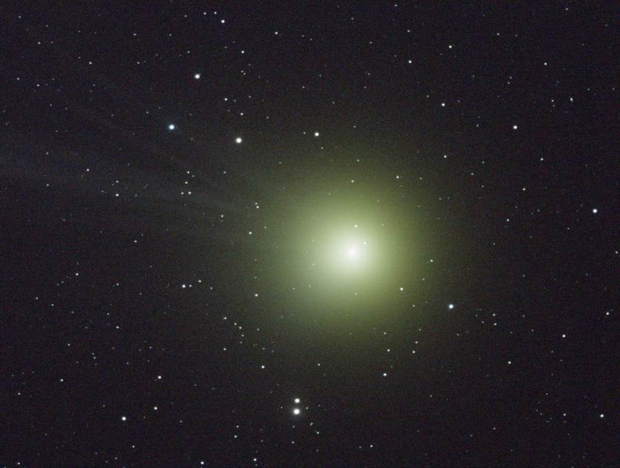 LoveJoy