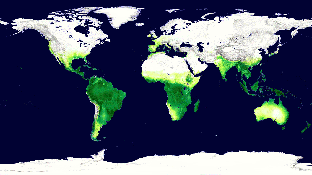 One year of the global vegetation cycle show seasonal variations in different parts of the world.