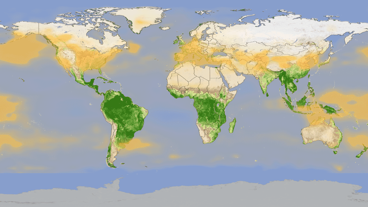 Average yearly AIRS CO2 data shown in yellow is laid over MODIS vegetation data in green.