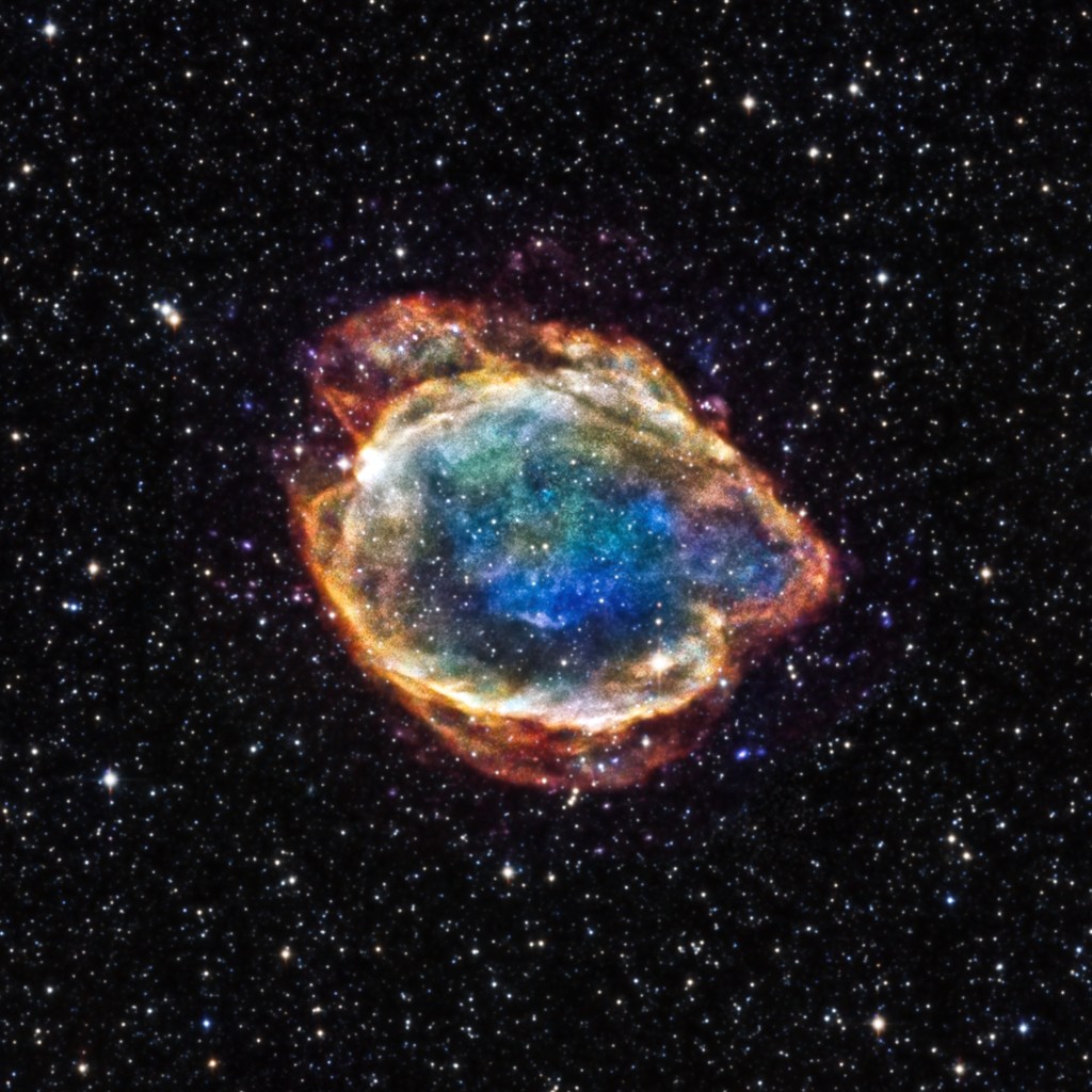 Type Ia supernova G299.