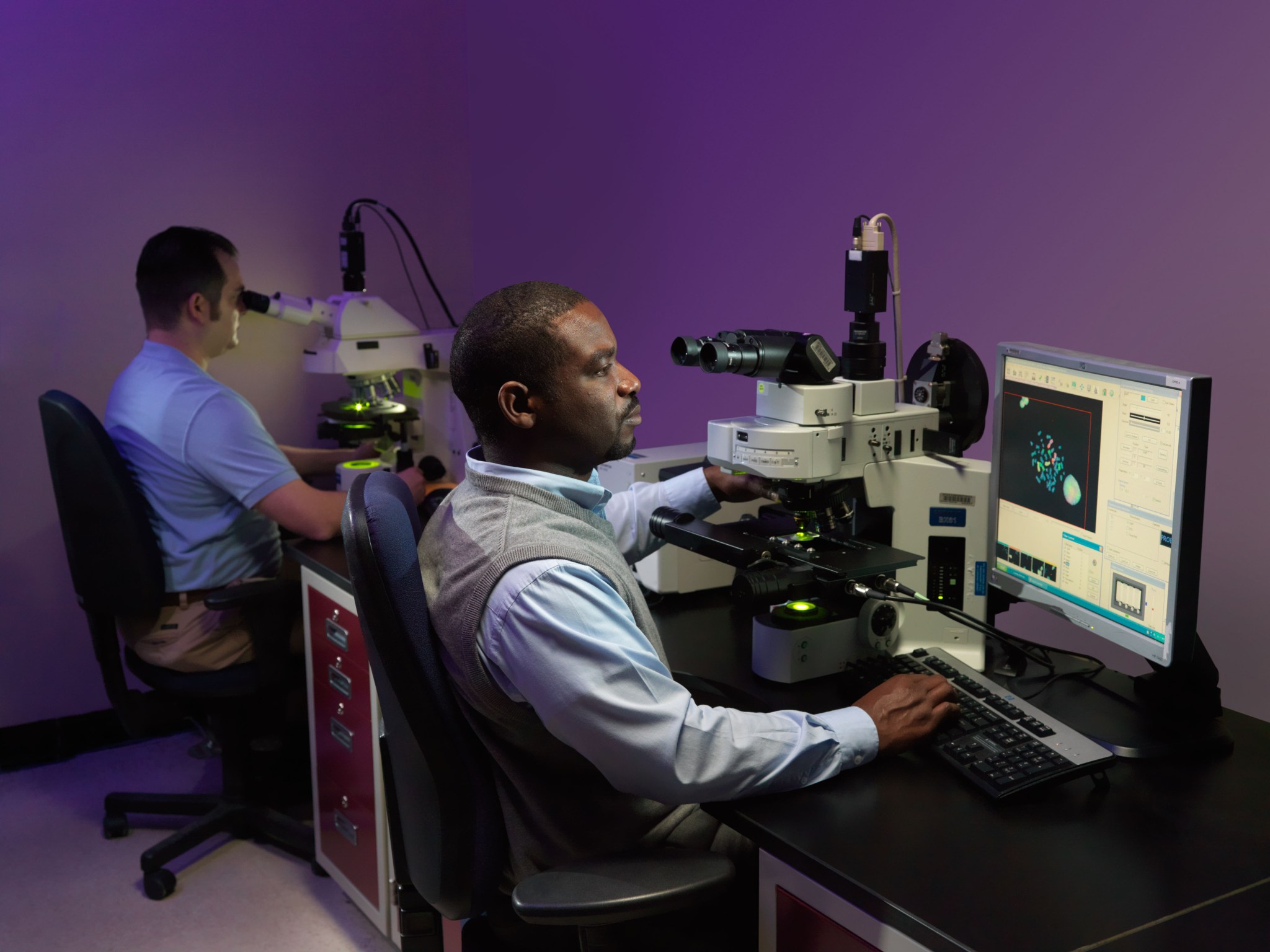 Scientists analyze blood cultures for radiation effects