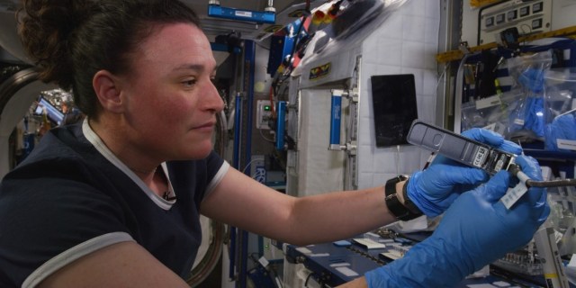 A crewmember identifies microbes aboard the ISS