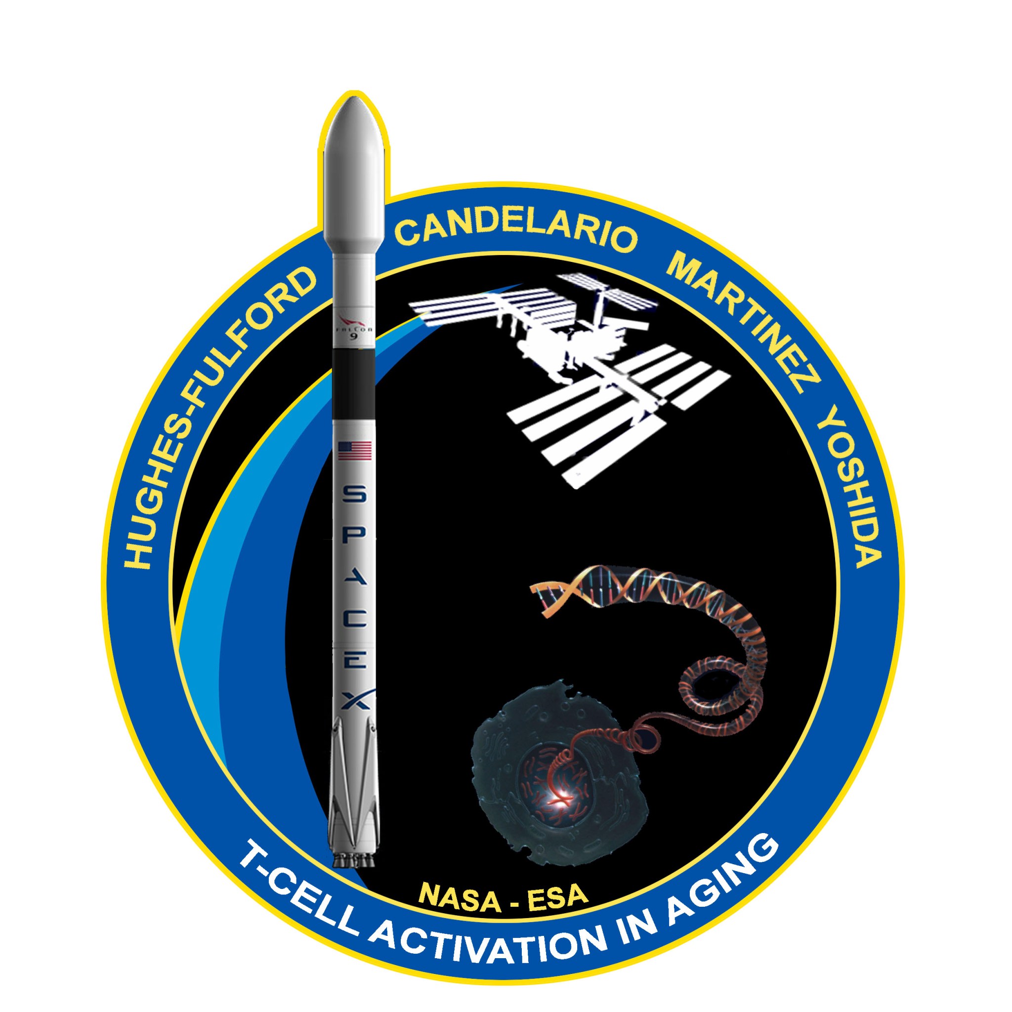 Mission patch for the T-Cell Activation in Aging experiment