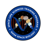 NASA SLST Logo