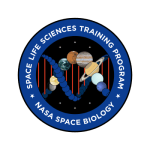 NASA SLST Logo