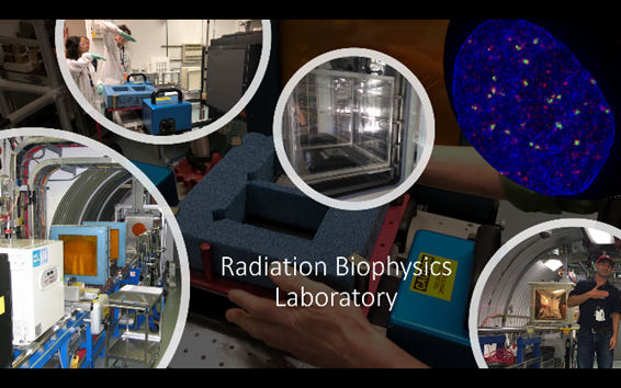 Radiation Biophysics Lab