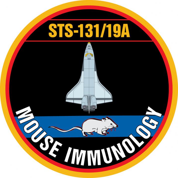 STS-131 mission patch