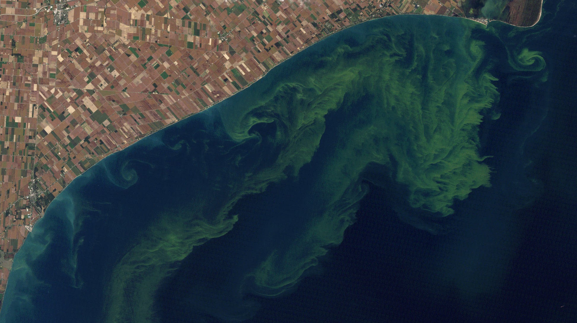 Lake Erie algal blooms