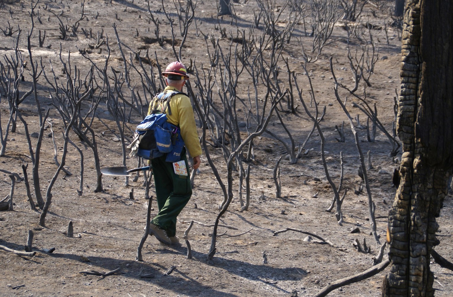 Soil scientists began evaluating the burned area