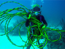 
			NASA Extreme Environment Mission Operations (NEEMO) Studies			