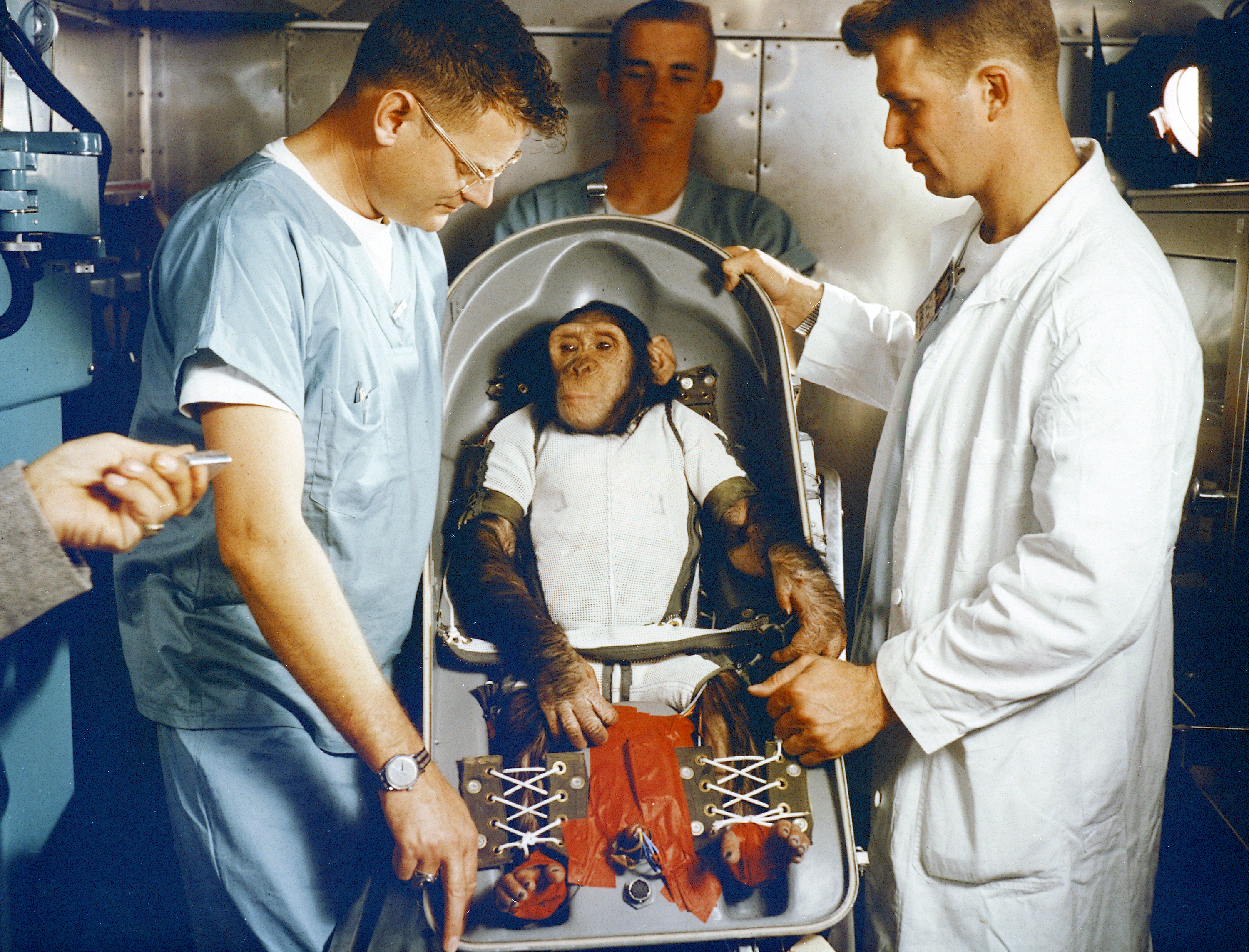 CHIMPANZEE "HAM" sits IN FLIGHT COUCH FOR MR-2 (MERCURY-REDSTONE2) surrounded by his trainers.