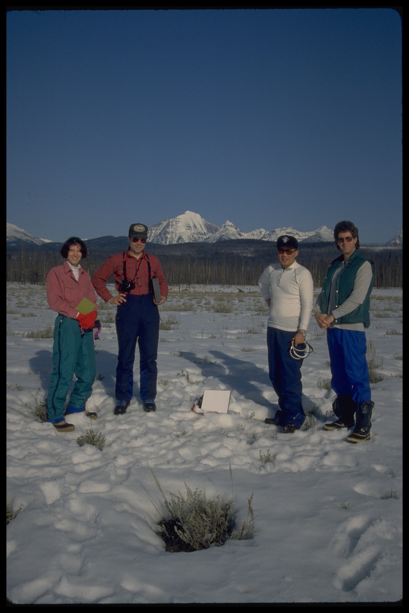 Hall, Fagre, Chang, and Foster in near Mt. Wrangell in Alaska