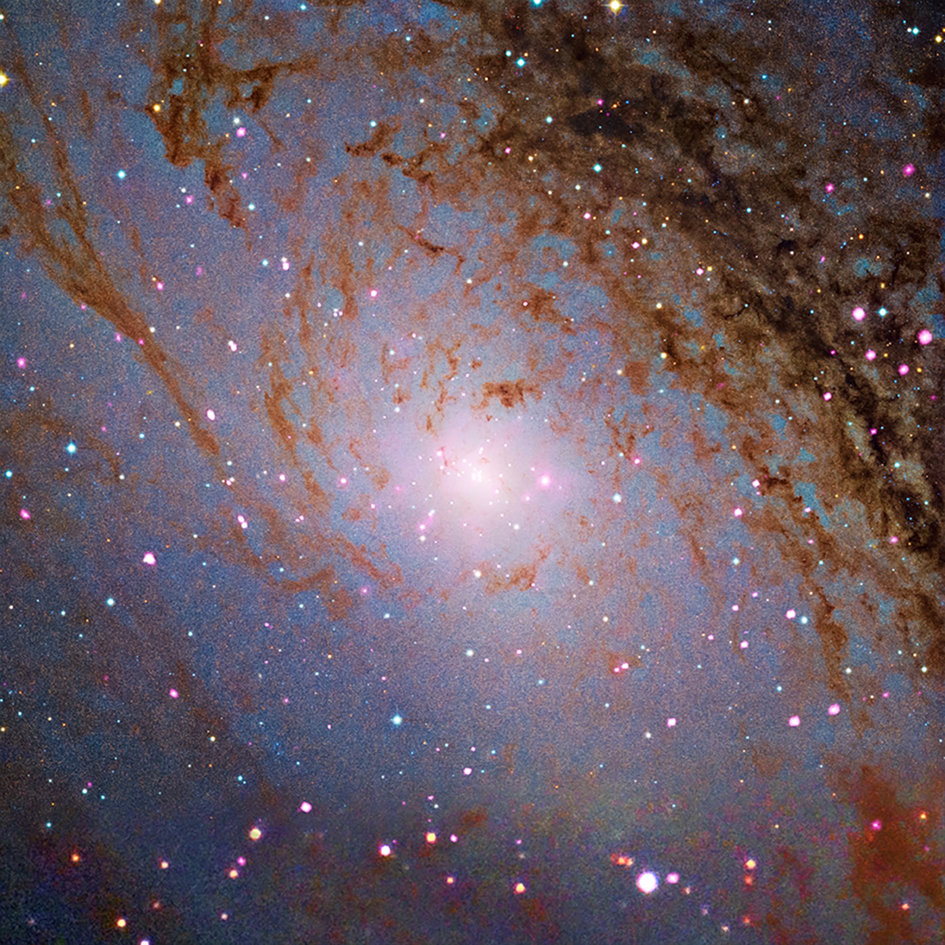 M31 core