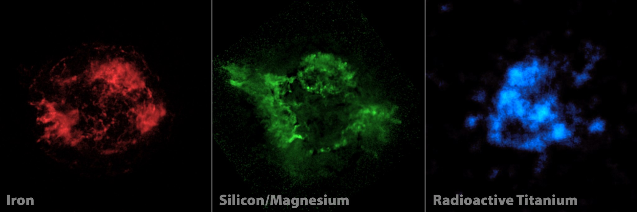 NuSTAR is complementing previous observations of the Cassiopeia A supernova remnant (red and green) by providing the first maps of radioactive material forged in the fiery explosion (blue).