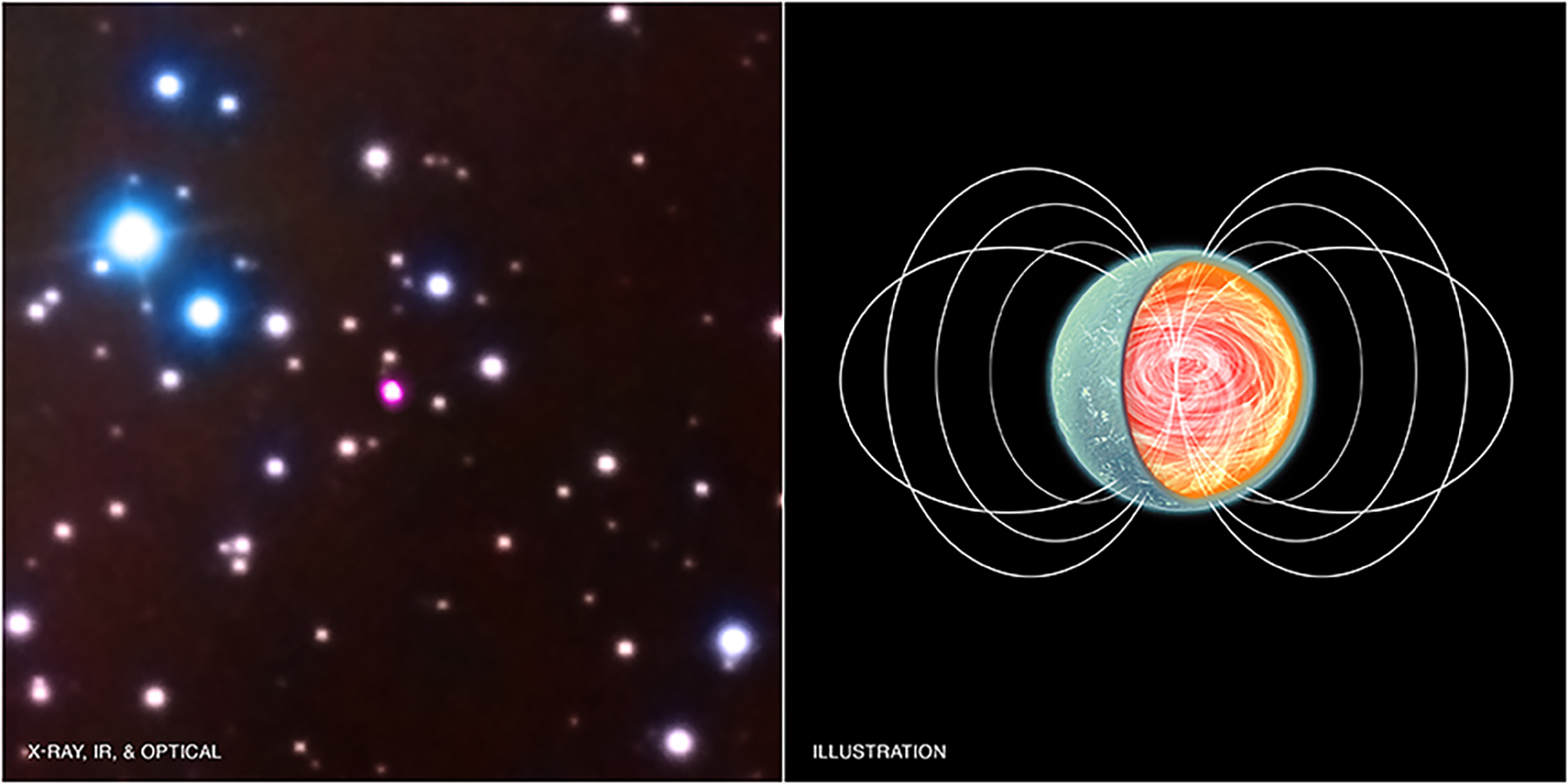 A Hidden Population of Exotic Neutron Stars