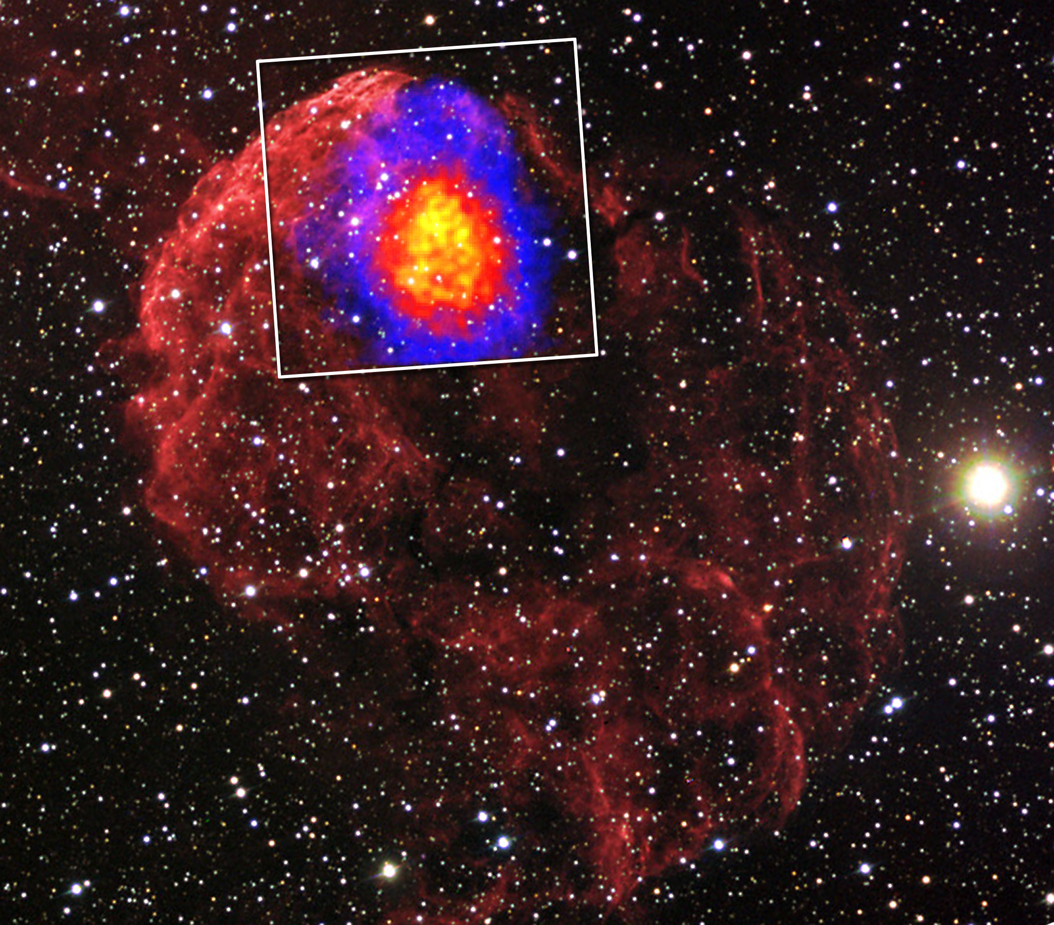 supernova remnant known as the Jellyfish Nebula