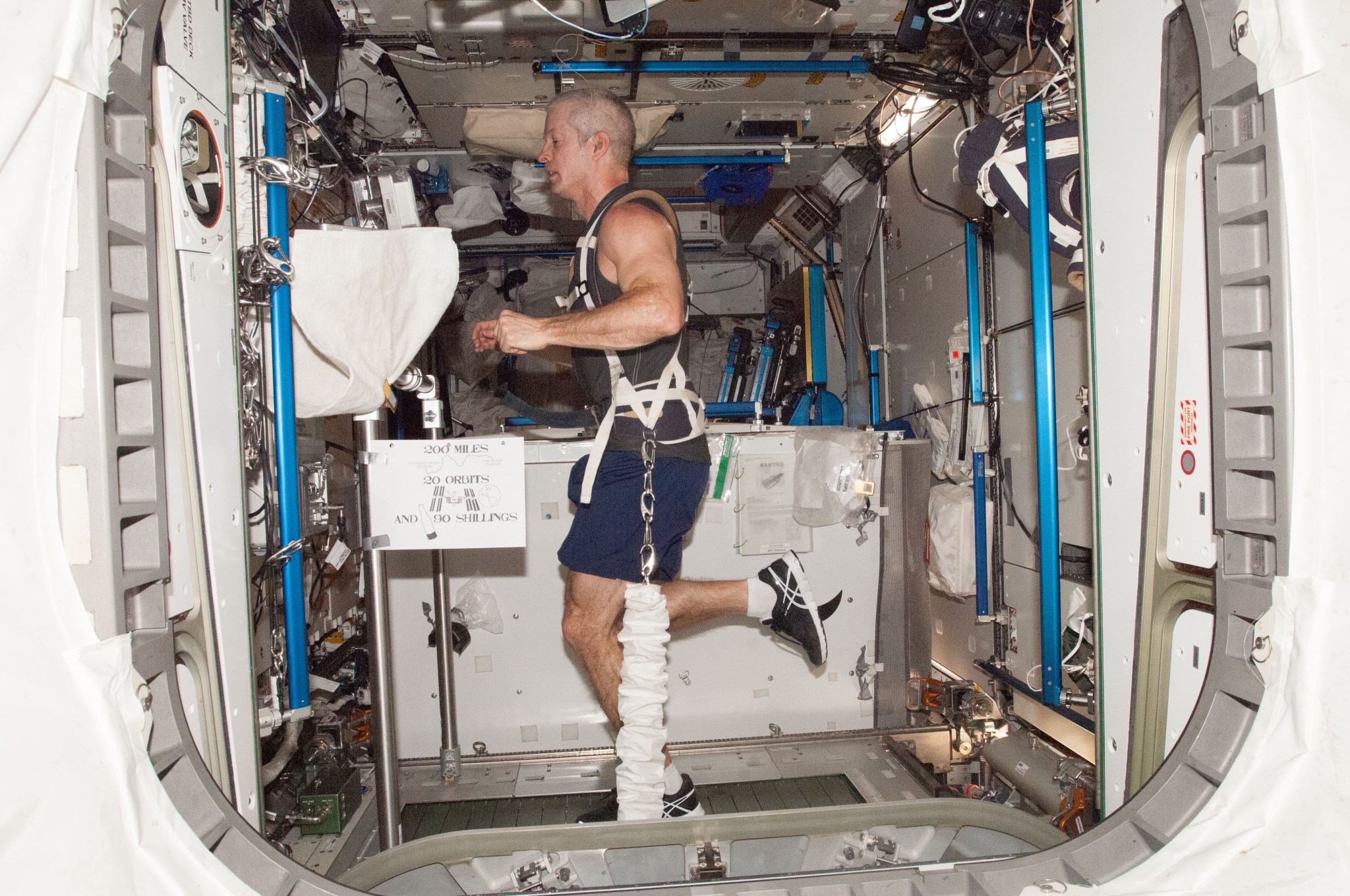 NASA astronaut Steve Swanson exercises on the T2 treadmill aboard the International Space Station. 