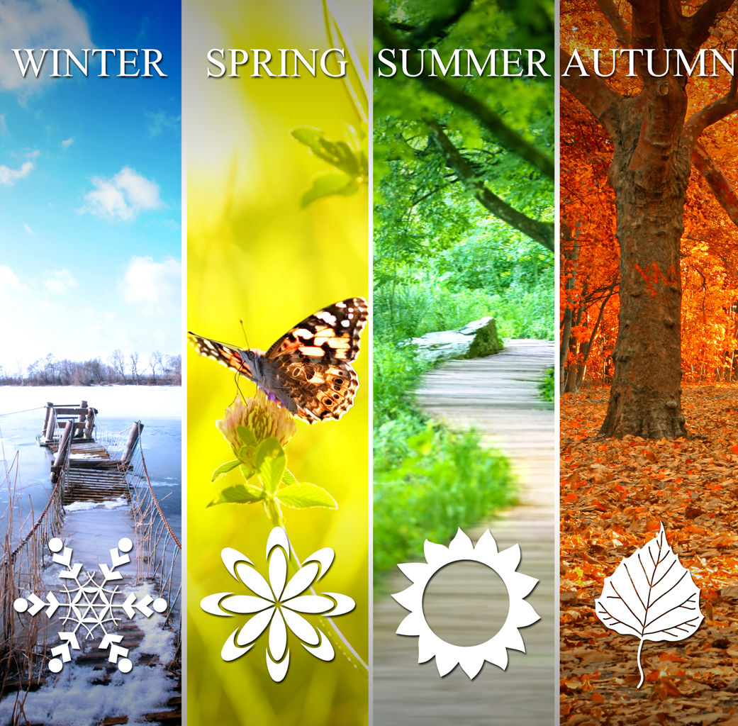 The words winter, spring, summer and autumn are superimposed over pictures that represent each season