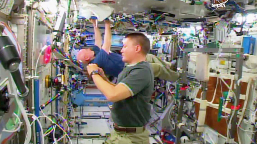NASA Astronauts Kjell Lindgren and Scott Kelly