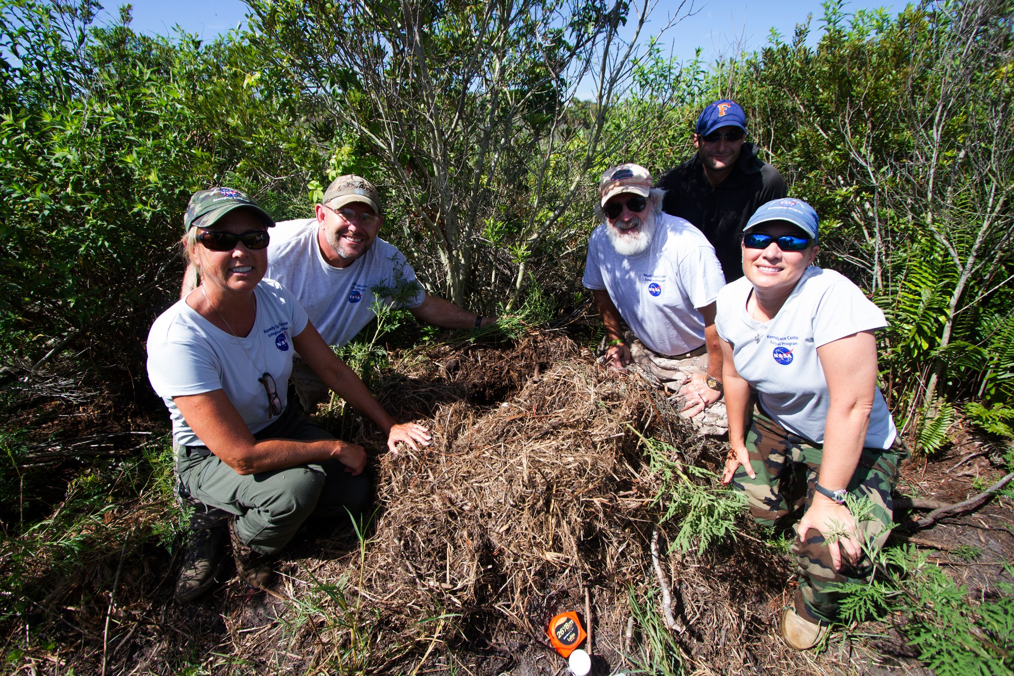 Members of Kennedy Space Center's Ecological Program gather around an alligator nest