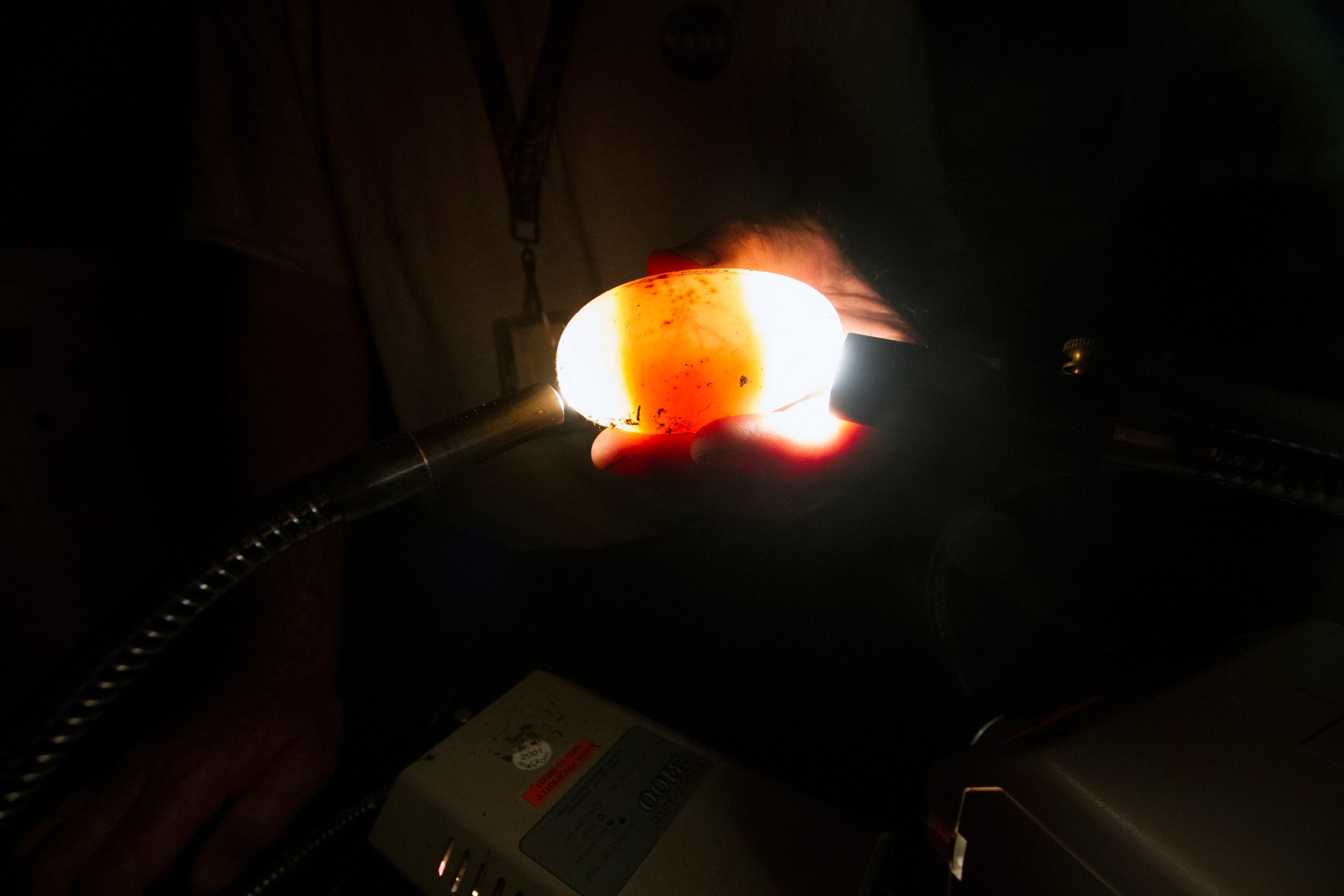 A dark band filling the center of an illuminated alligator egg reveals the egg to be viable in a process called candling.