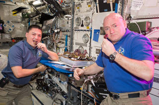 NASA astronauts Kjell Lindgren, left, and Scott Kelly harvest the first red lettuce grown on the International Space Station.