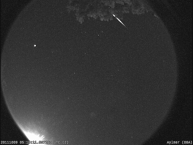 A Draconid disappears behind a tree in this image taken by a Canadian all sky camera (Credit: UWO Meteor Physics Group)..