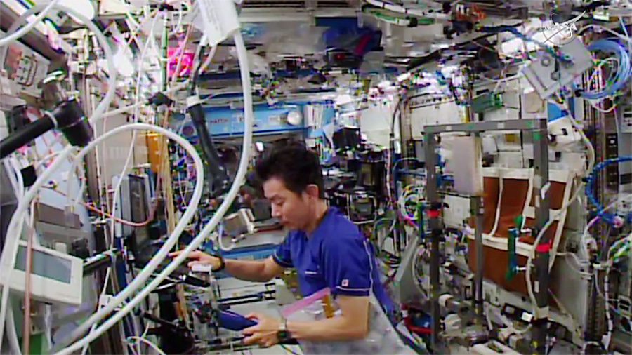 Japanese Astronaut Kimiya Yui
