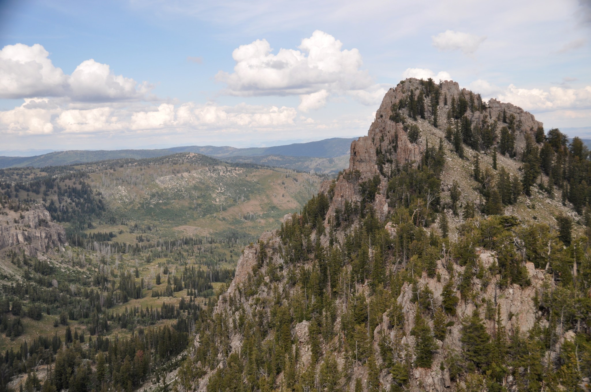 pine trees on a rocky peak