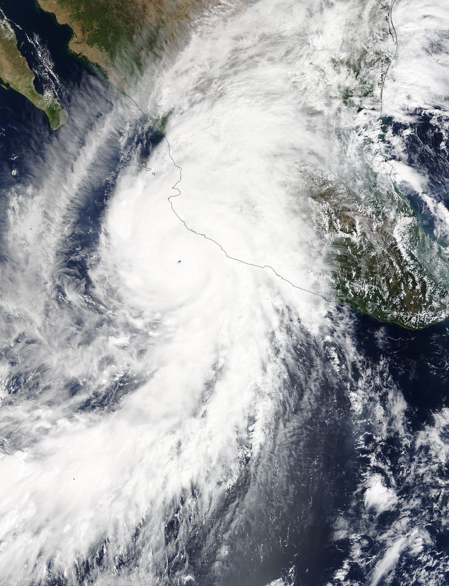 MODIS image of Patricia