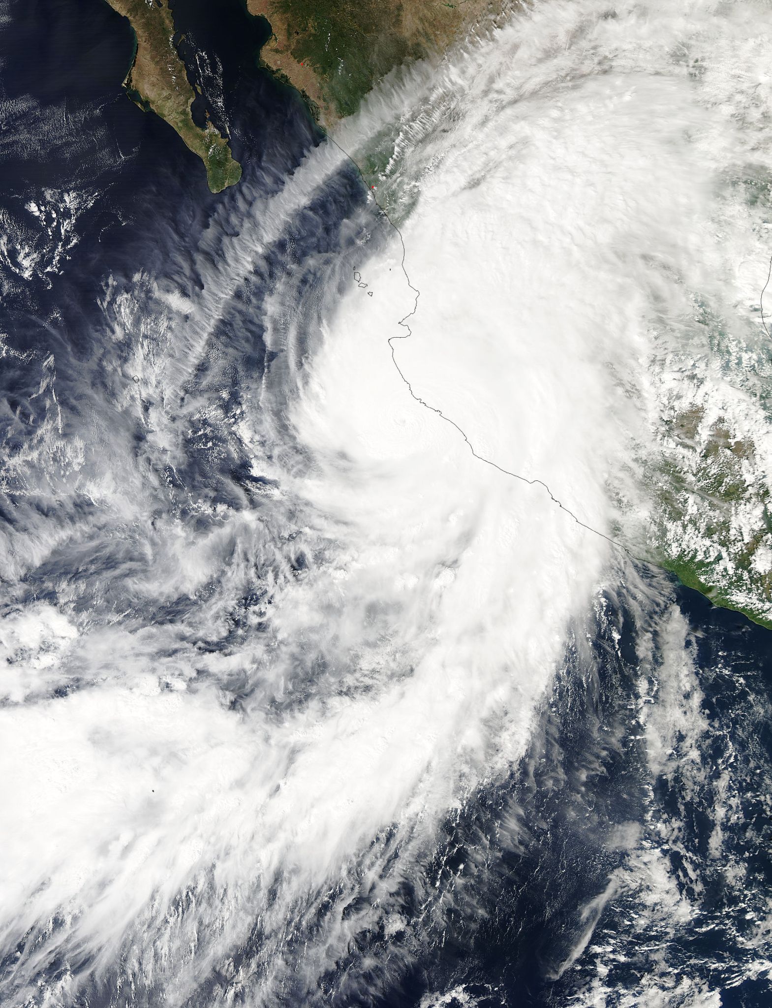 MODIS image of Patricia