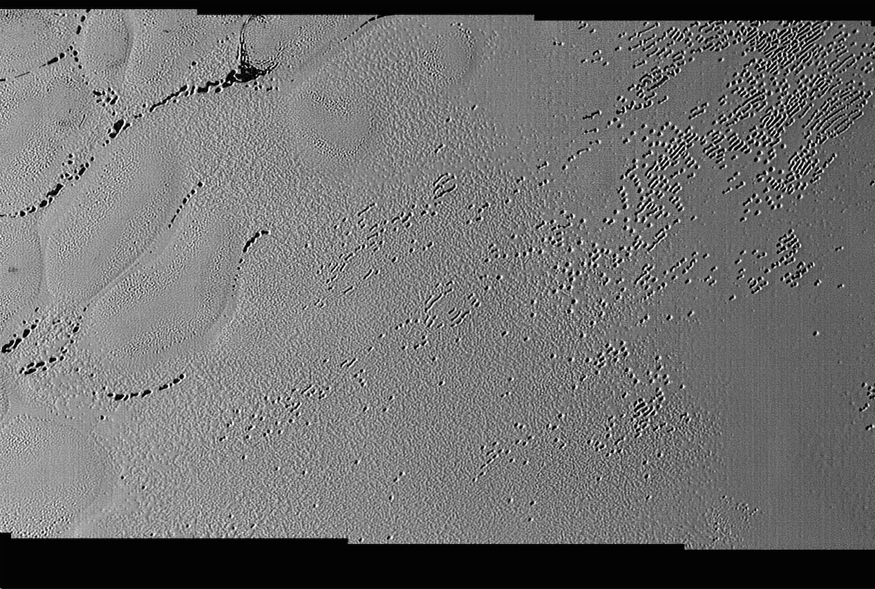 This image was taken by the Long Range Reconnaissance Imager (LORRI) on NASA's New Horizons spacecraft.