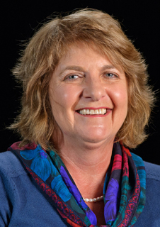Dr. Sylvia Johnson – NESC Academy Biography