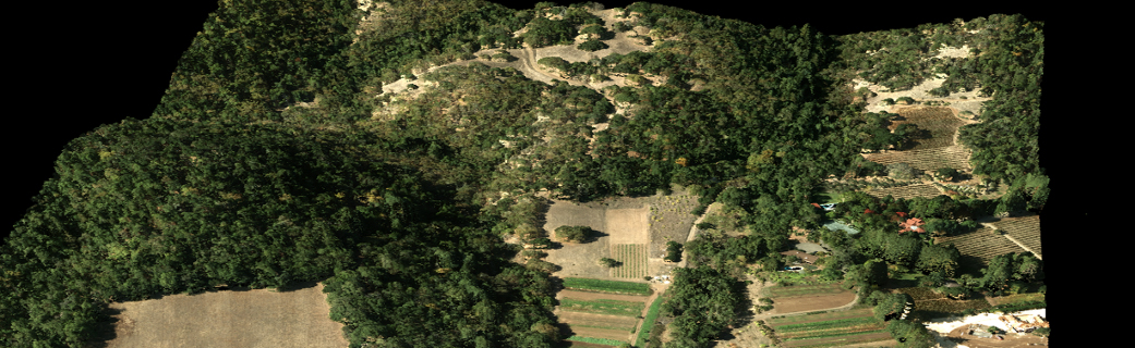 aerial view of vinyards, forests, hills