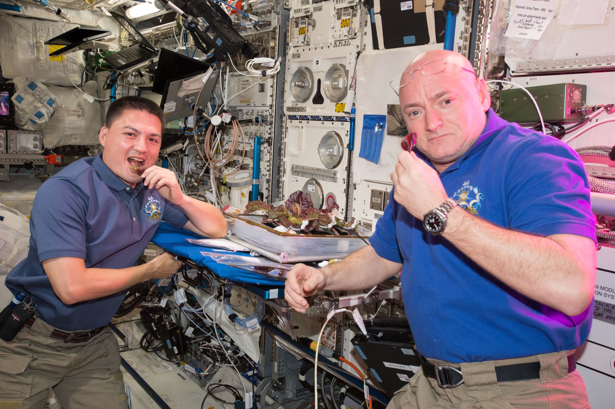 Astronauts Kjell Lindgren at left and Scott Kelly at right taste samples of the lettuce grown on the space station