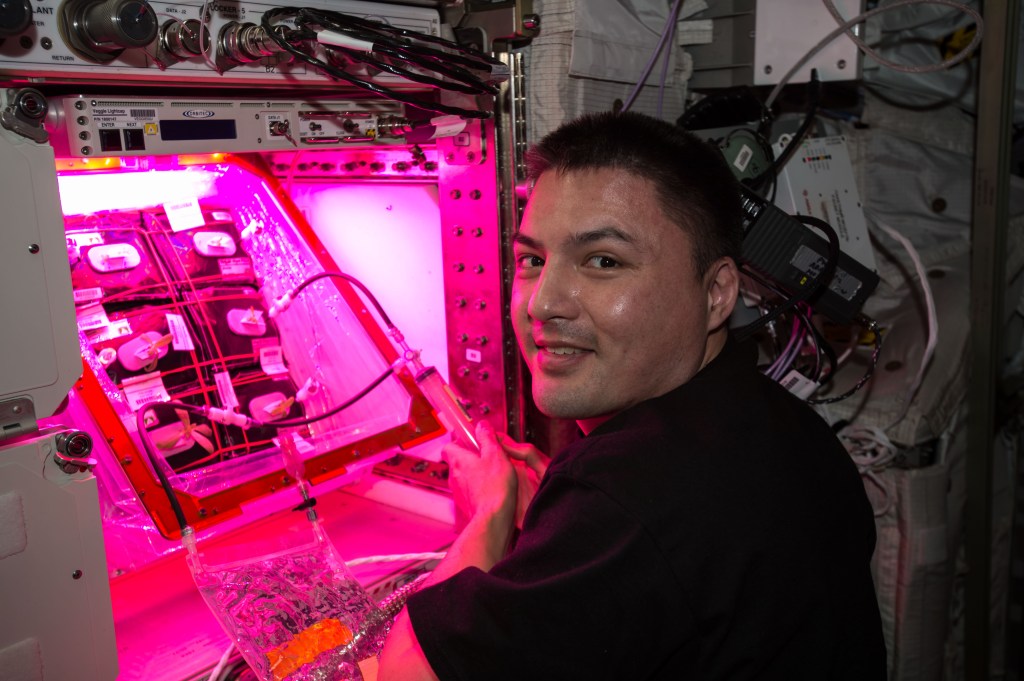 
			ZINNIAS FROM SPACE! NASA Studies the Multiple Benefits of Gardening			