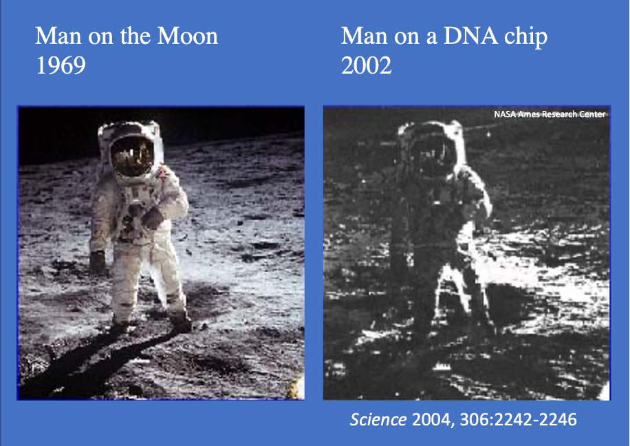 Man on the Moon, Man on a DNA chip