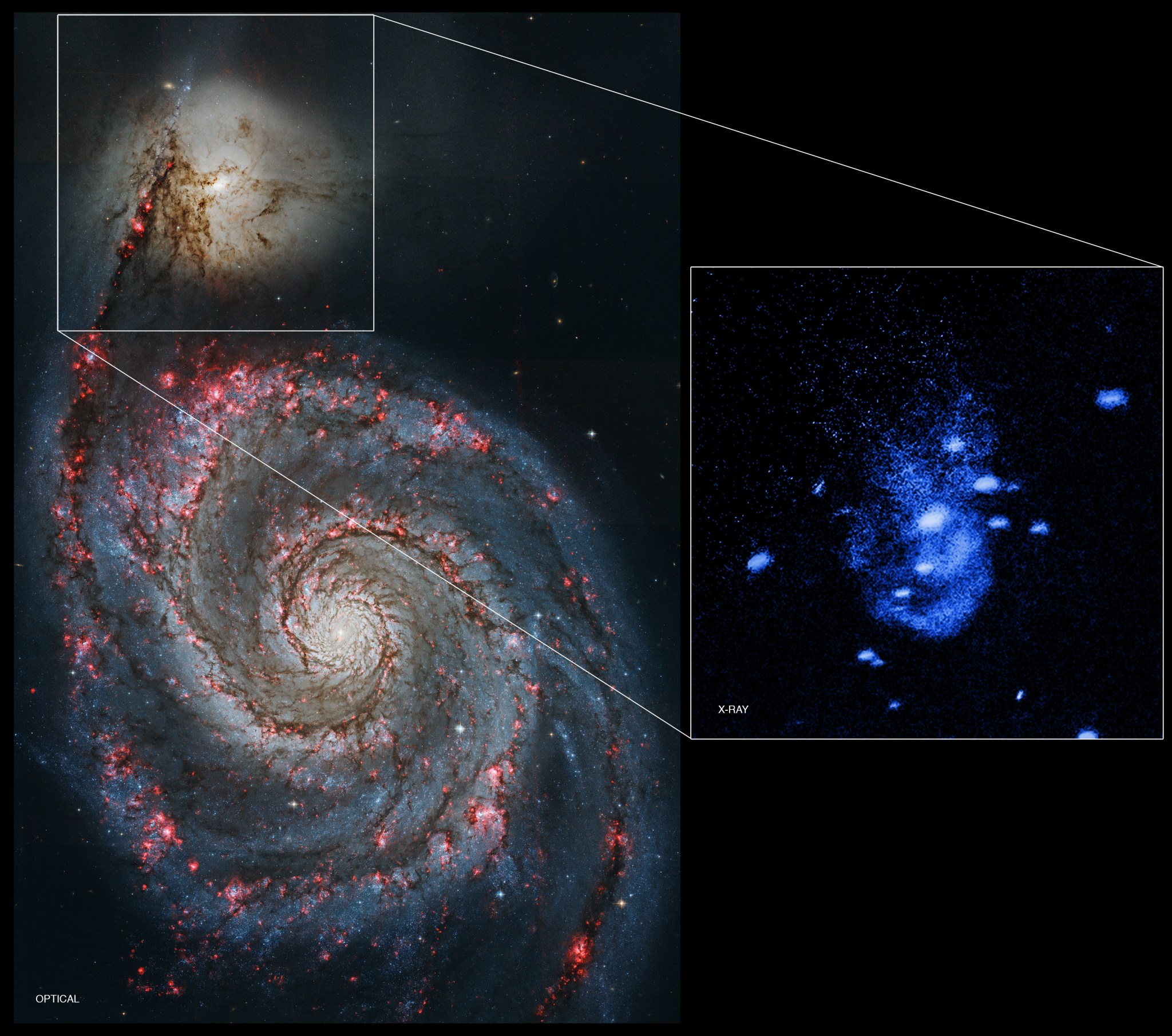 Galaxy NGC 5195