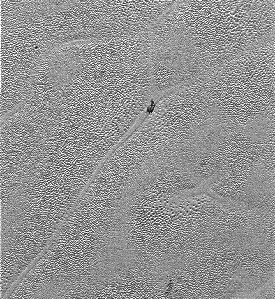 ‘X’ Marks a Curious Corner on Pluto’s Icy Plains